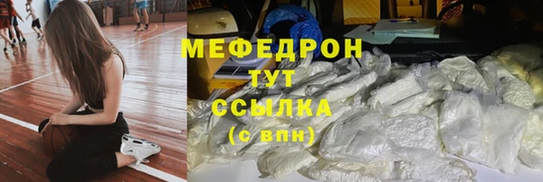 амф Гусь-Хрустальный