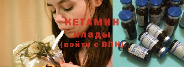 индика Гусиноозёрск