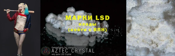 индика Гусиноозёрск