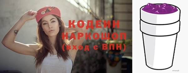 индика Гусиноозёрск