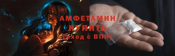 индика Гусиноозёрск