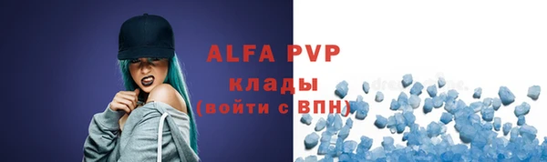 амф Гусь-Хрустальный
