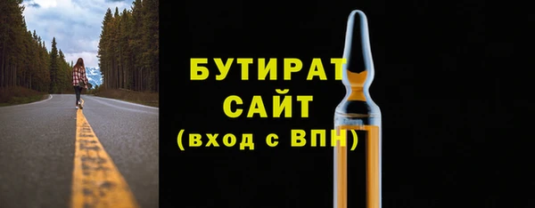 индика Гусиноозёрск