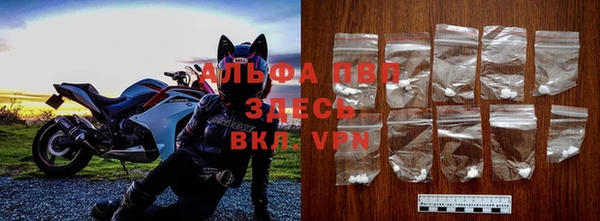 амф Гусь-Хрустальный