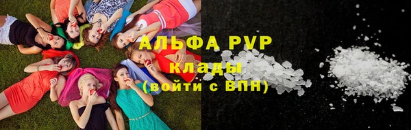 амф Гусь-Хрустальный