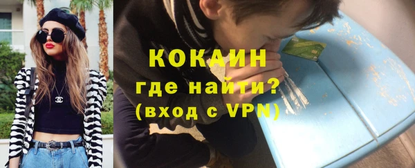 амф Гусь-Хрустальный