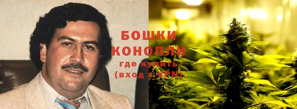 mdpv Гусев