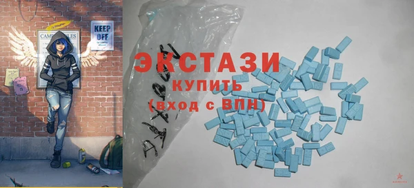 индика Гусиноозёрск