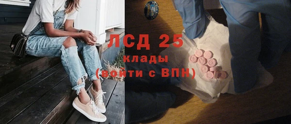 амф Гусь-Хрустальный
