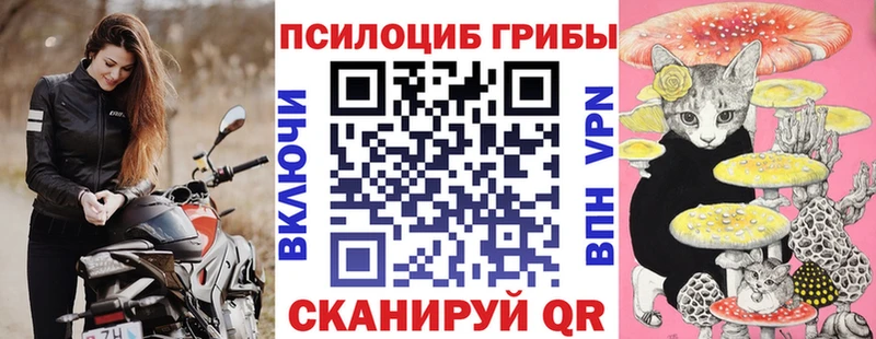 Купить закладки  Дюртюли  Псилоцибиновые грибы Psilocybe 